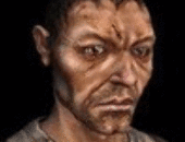 Orbinarcha