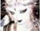 ZoroTat