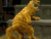 Rimmfus